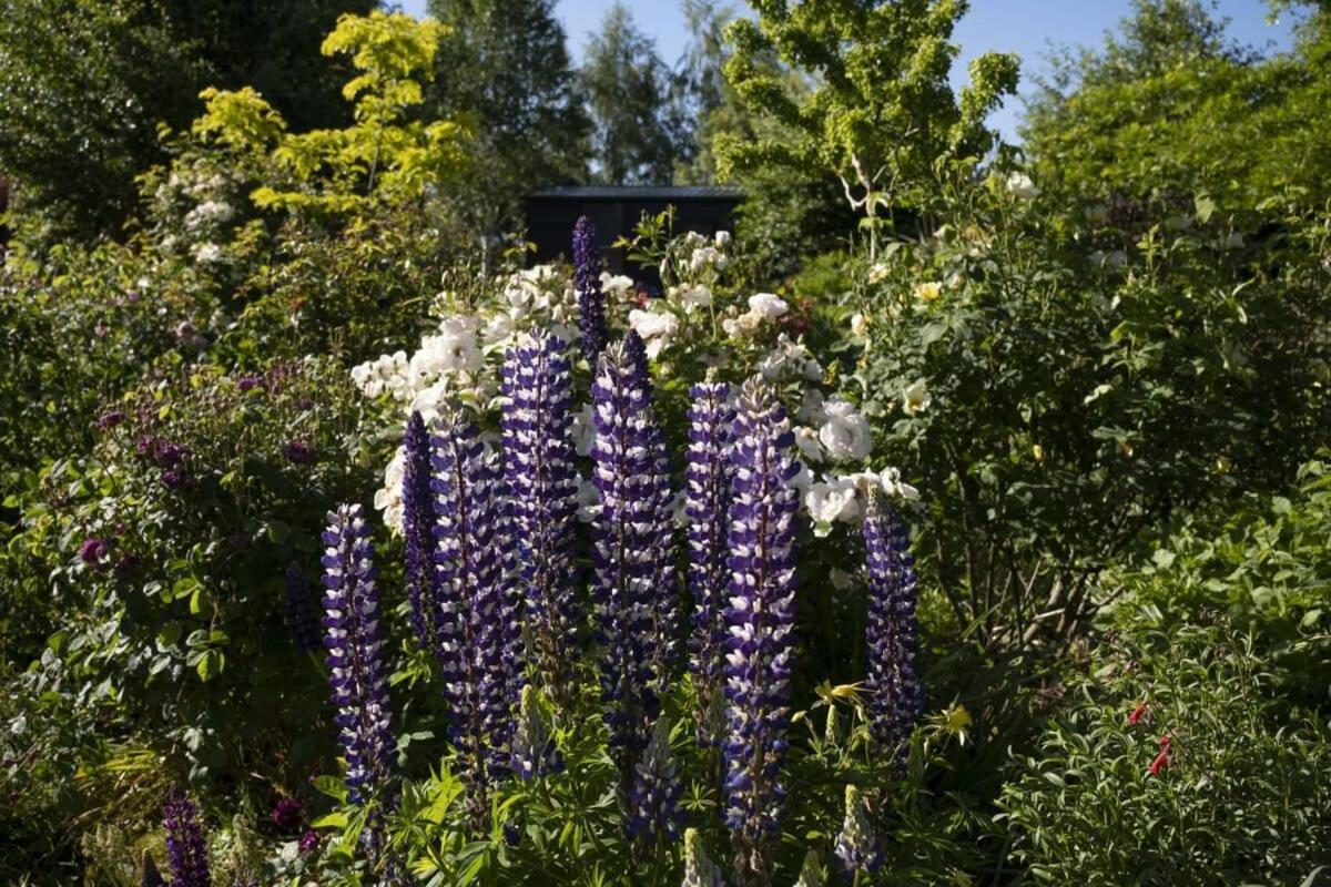 Tiny Away Benger Garden 2 By Tiny Away Villa Millers Flat Exterior photo